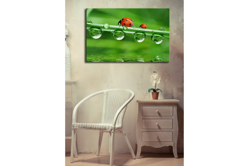 Canvas-taulu LED-valaistuksella 45x70 cm - Leppäkertut vihreällä ruoholinjalla vesipisaroiden kanssa - Vihreä / Punainen / Läpinäkyvä - Sisustustuotteet - Taulu & taide - Canvas-taulu