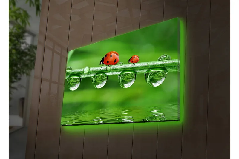 Canvas-taulu LED-valaistuksella 45x70 cm - Leppäkertut vihreällä ruoholinjalla vesipisaroiden kanssa, Vihreä / Punainen / Läpinäkyvä