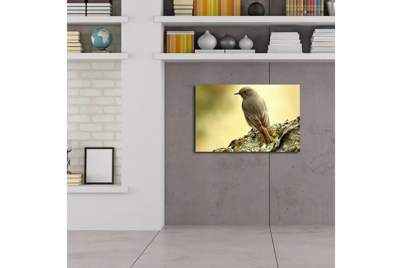 Canvas-taulu LED-valaistuksella 45x70 cm - Lintu istuu kivellä pehmeällä taustalla - Harmaa / Oranssi / Beige - Sisustustuotteet - Taulu & taide - Canvas-taulu