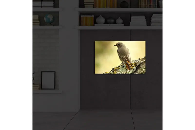 Canvas-taulu LED-valaistuksella 45x70 cm - Lintu istuu kivellä pehmeällä taustalla - Harmaa / Oranssi / Beige - Sisustustuotteet - Taulu & taide - Canvas-taulu
