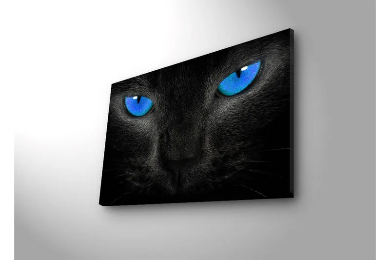 Canvas-taulu LED-valaistuksella 45x70 cm - Musta kissa intensiivisen sinisillä silmillä - Musta / Sininen - Sisustustuotteet - Taulu & taide - Canvas-taulu