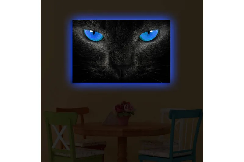 Canvas-taulu LED-valaistuksella 45x70 cm - Musta kissa intensiivisen sinisillä silmillä - Musta / Sininen - Sisustustuotteet - Taulu & taide - Canvas-taulu