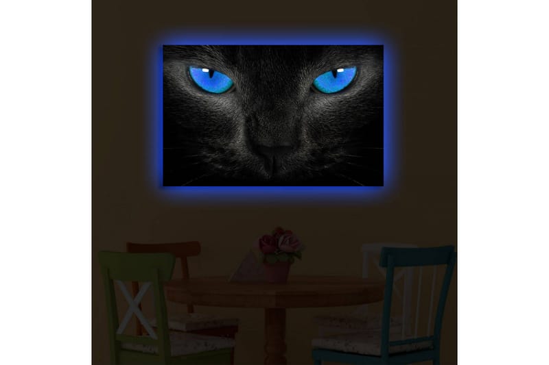 Canvas-taulu LED-valaistuksella 45x70 cm - Musta kissa intensiivisen sinisillä silmillä - Musta / Sininen - Sisustustuotteet - Taulu & taide - Canvas-taulu