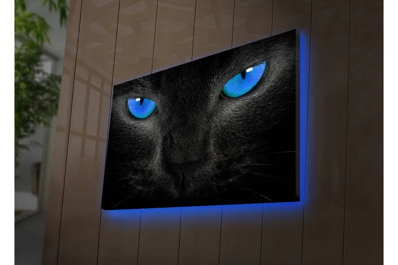Canvas-taulu LED-valaistuksella 45x70 cm - Musta kissa intensiivisen sinisillä silmillä - Musta / Sininen - Sisustustuotteet - Taulu & taide - Canvas-taulu