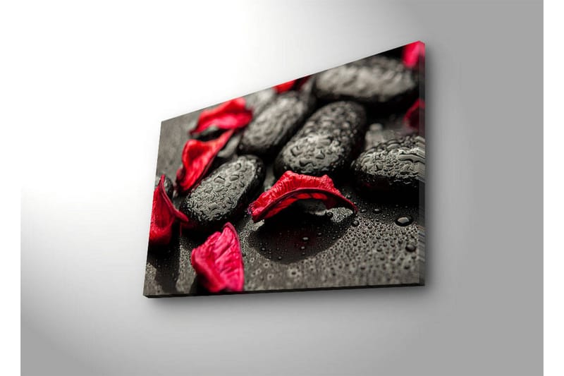 Canvas-taulu LED-valaistuksella 45x70 cm - Mustat kivet punaisilla kukkaterälehdillä ja vesipisaroilla - Musta / Punainen - Sisustustuotteet - Taulu & taide - Canvas-taulu