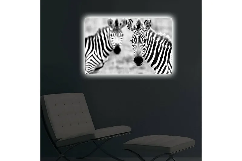 Canvas-taulu LED-valaistuksella 45x70 cm - Mustavalkoiset seeprat kirkkailla raidoilla - Musta / Valkoinen - Sisustustuotteet - Taulu & taide - Canvas-taulu