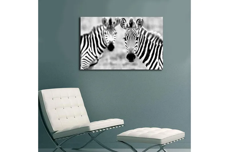 Canvas-taulu LED-valaistuksella 45x70 cm - Mustavalkoiset seeprat kirkkailla raidoilla - Musta / Valkoinen - Sisustustuotteet - Taulu & taide - Canvas-taulu