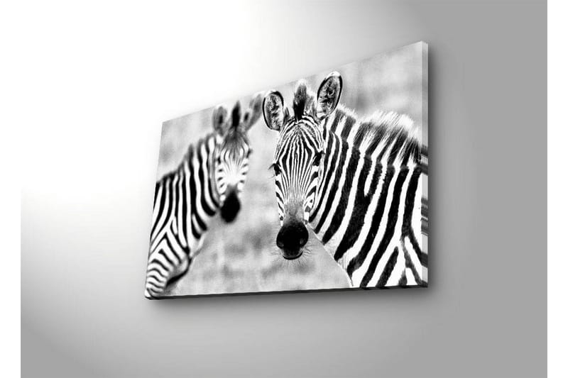 Canvas-taulu LED-valaistuksella 45x70 cm - Mustavalkoiset seeprat kirkkailla raidoilla - Musta / Valkoinen - Sisustustuotteet - Taulu & taide - Canvas-taulu