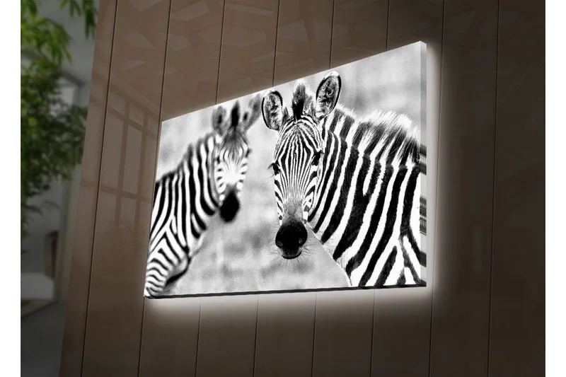 Canvas-taulu LED-valaistuksella 45x70 cm - Mustavalkoiset seeprat kirkkailla raidoilla, Musta / Valkoinen