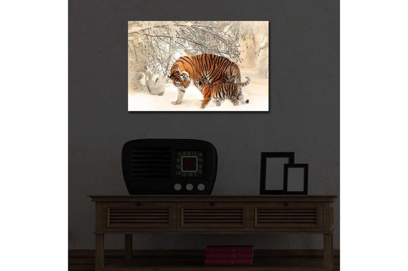Canvas-taulu LED-valaistuksella 45x70 cm - Tiikerit leikkivät lumessa - Oranssi / Valkoinen / Musta - Sisustustuotteet - Taulu & taide - Canvas-taulu