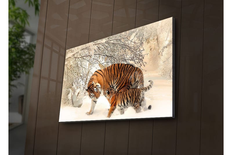 Canvas-taulu LED-valaistuksella 45x70 cm - Tiikerit leikkivät lumessa - Oranssi / Valkoinen / Musta - Sisustustuotteet - Taulu & taide - Canvas-taulu