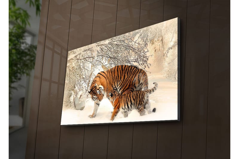 Canvas-taulu LED-valaistuksella 45x70 cm - Tiikerit leikkivät lumessa - Oranssi / Valkoinen / Musta - Sisustustuotteet - Taulu & taide - Canvas-taulu