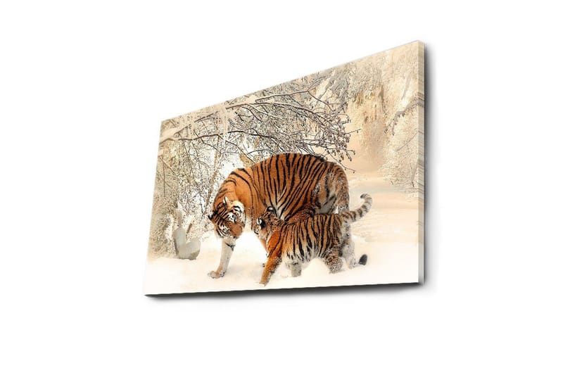 Canvas-taulu LED-valaistuksella 45x70 cm - Tiikerit leikkivät lumessa - Oranssi / Valkoinen / Musta - Sisustustuotteet - Taulu & taide - Canvas-taulu