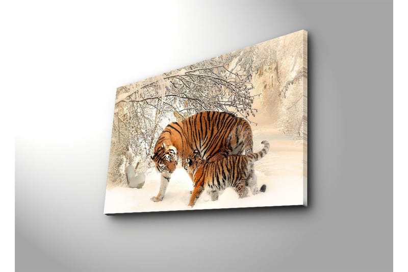 Canvas-taulu LED-valaistuksella 45x70 cm - Tiikerit leikkiv ät lumessa - Oranssi / Valkoinen / Musta - Sisustustuotteet - Taulu & taide - Canvas-taulu