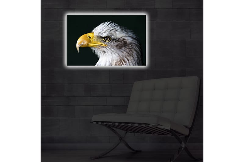 Canvas-taulu LED-valaistuksella 45x70 cm - Upea kotka intensiivisellä katseella - Valkoinen / Keltainen / Musta - Sisustustuotteet - Taulu & taide - Canvas-taulu