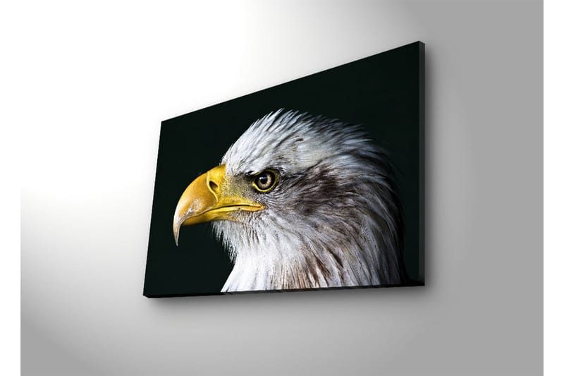 Canvas-taulu LED-valaistuksella 45x70 cm - Upea kotka intensiivisellä katseella - Valkoinen / Keltainen / Musta - Sisustustuotteet - Taulu & taide - Canvas-taulu