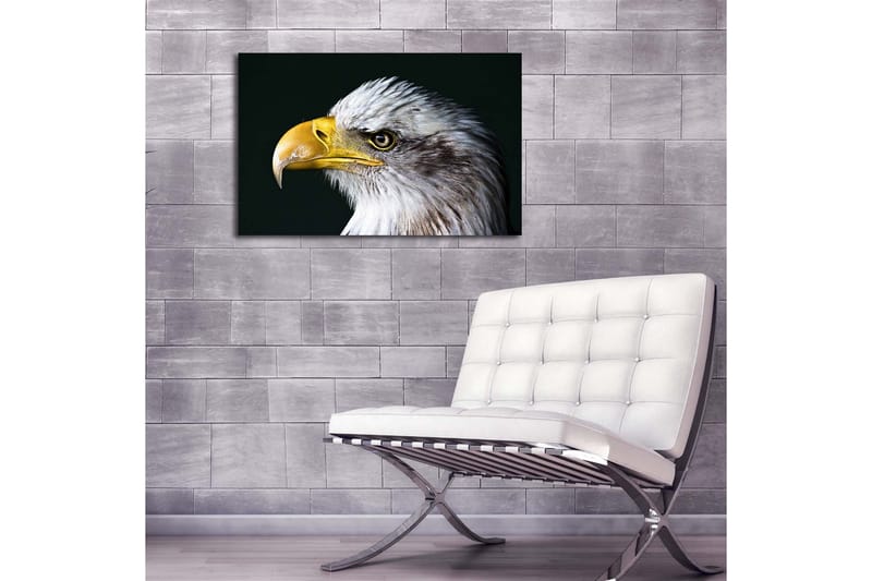 Canvas-taulu LED-valaistuksella 45x70 cm - Upea kotka intensiivisellä katseella - Valkoinen / Keltainen / Musta - Sisustustuotteet - Taulu & taide - Canvas-taulu