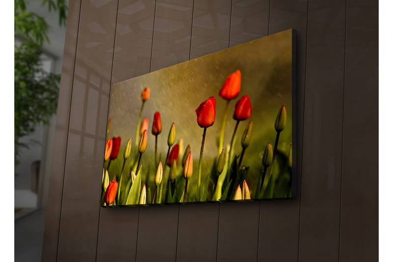 Canvas-taulu LED-valaistuksella 45x70 cm - Värikkäät tulppaanit kukkivat, Punainen / Vihreä / Keltavihreä