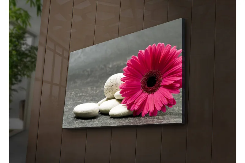 Canvas-taulu LED-valaistuksella 45x70 cm - Vaaleanpunainen kukka valkoisilla kivillä - Vaaleanpunainen / Valkoinen / Harmaa - Sisustustuotteet - Taulu & taide - Canvas-taulu