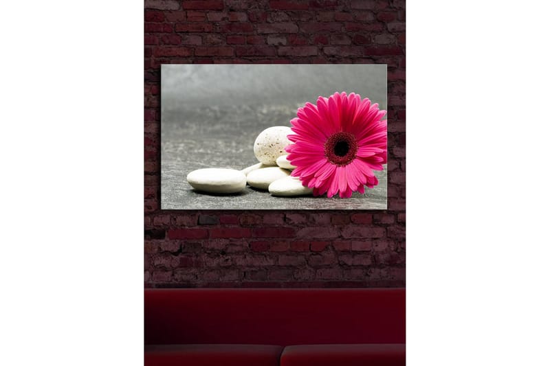 Canvas-taulu LED-valaistuksella 45x70 cm - Vaaleanpunainen kukka valkoisilla kivillä - Vaaleanpunainen / Valkoinen / Harmaa - Sisustustuotteet - Taulu & taide - Canvas-taulu