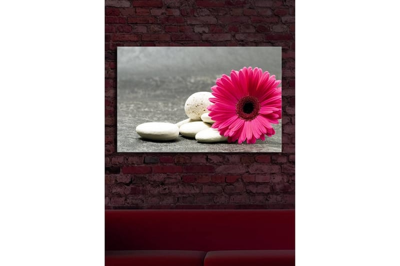 Canvas-taulu LED-valaistuksella 45x70 cm - Vaaleanpunainen kukka valkoisilla kivillä - Vaaleanpunainen / Valkoinen / Harmaa - Sisustustuotteet - Taulu & taide - Canvas-taulu