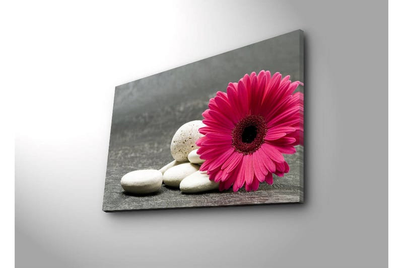 Canvas-taulu LED-valaistuksella 45x70 cm - Vaaleanpunainen kukka valkoisilla kivillä - Vaaleanpunainen / Valkoinen / Harmaa - Sisustustuotteet - Taulu & taide - Canvas-taulu
