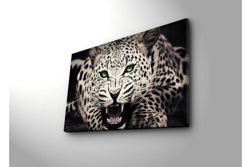 Canvas-taulu LED-valaistuksella 45x70 cm - Villi leopardi intensiivisellä katseella ja avoimella suulla - Valkoinen / Musta / Vihreä - Sisustustuotteet - Taulu & taide - Canvas-taulu