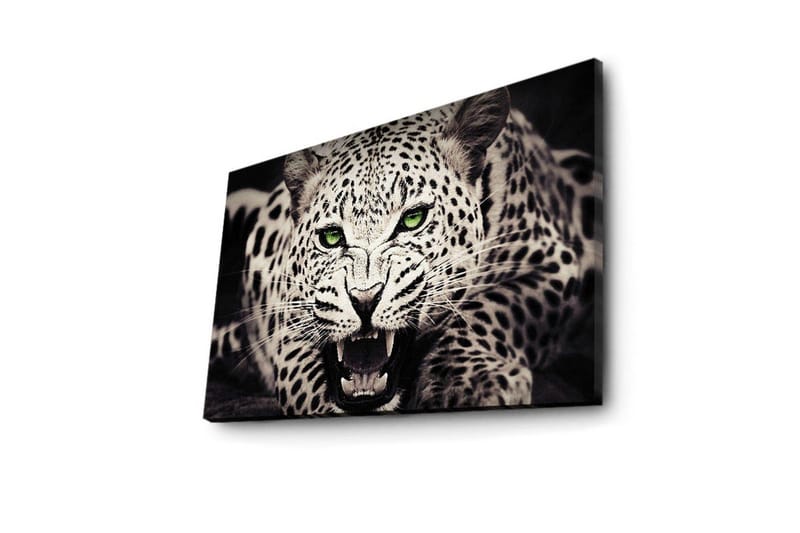 Canvas-taulu LED-valaistuksella 45x70 cm - Villi leopardi intensiivisellä katseella ja avoimella suulla - Valkoinen / Musta / Vihreä - Sisustustuotteet - Taulu & taide - Canvas-taulu