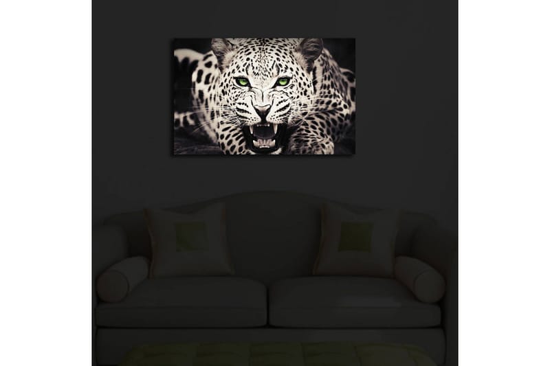 Canvas-taulu LED-valaistuksella 45x70 cm - Villi leopardi intensiivisellä katseella ja avoimella suulla - Valkoinen / Musta / Vihreä - Sisustustuotteet - Taulu & taide - Canvas-taulu