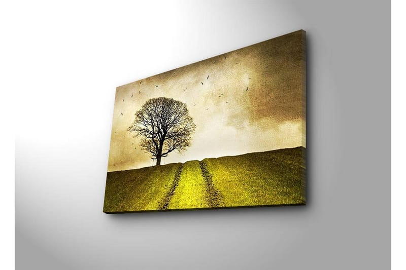 Canvas-taulu LED-valaistuksella 45x70 cm - Yksinäinen puunlatva vihreällä kukkulalla kultaisen taivaan alla - Kulta / Vihreä / Ruskea - Sisustustuotteet - Taulu & taide - Canvas-taulu