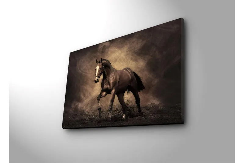 Canvas-taulu LED-valaistuksella 45x70 cm - Ylpeä hevonen liikkeessä - Tummanruskea / Beige / Musta - Sisustustuotteet - Taulu & taide - Canvas-taulu