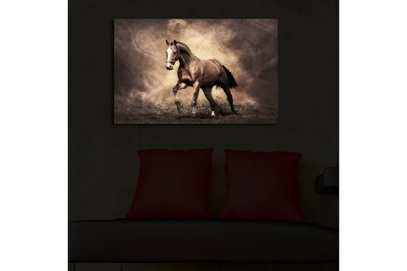 Canvas-taulu LED-valaistuksella 45x70 cm - Ylpeä hevonen liikkeessä - Tummanruskea / Beige / Musta - Sisustustuotteet - Taulu & taide - Canvas-taulu