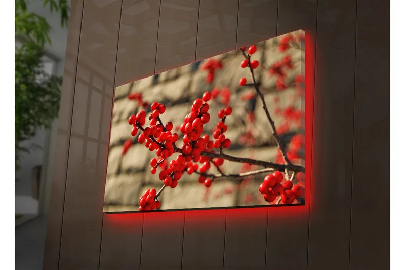 Canvas-taulu LED-valaistuksella 45x70 cm - Punainen marjaterttu oksalla, Punainen / Ruskea / Beige