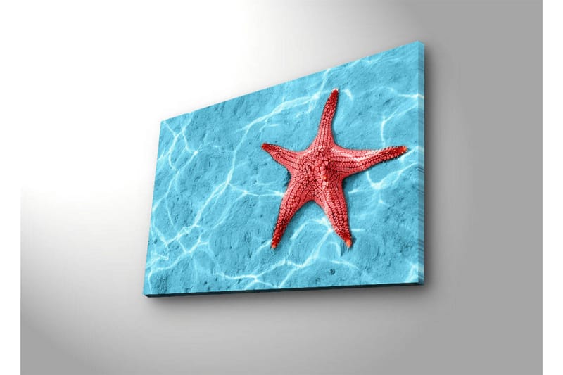 Canvas-taulu LED-valaistuksella 45x70 cm - Punainen meritähti kirkkaansinisellä veden pinnalla - Punainen / Kirkkaansininen - Sisustustuotteet - Taulu & taide - Canvas-taulu