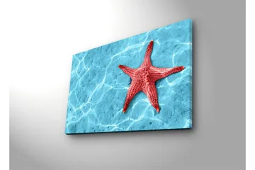 Canvas-taulu LED-valaistuksella 45x70 cm - Punainen meritähti kirkkaansinisellä veden pinnalla - Punainen / Kirkkaansininen - Sisustustuotteet - Taulu & taide - Canvas-taulu