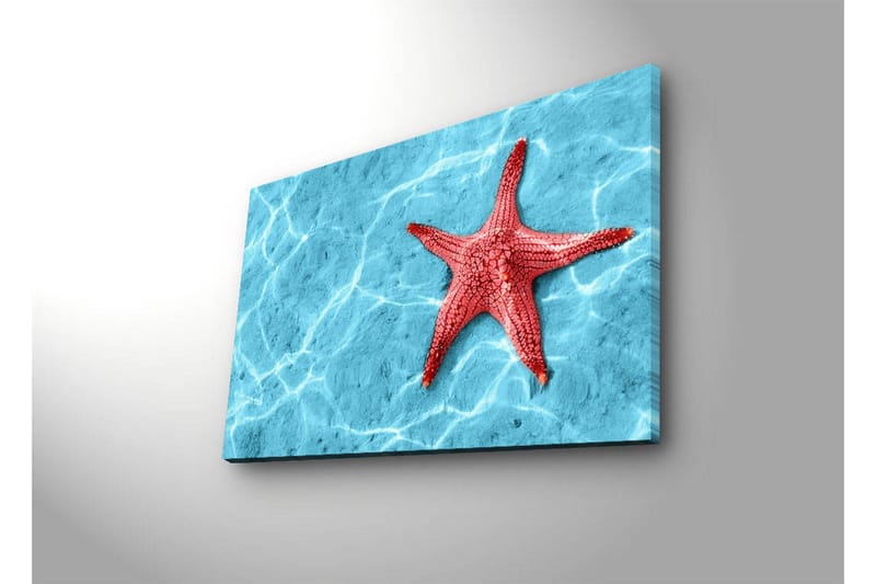 Canvas-taulu LED-valaistuksella 45x70 cm - Punainen meritähti kirkkaansinisellä veden pinnalla - Punainen / Kirkkaansininen - Sisustustuotteet - Taulu & taide - Canvas-taulu