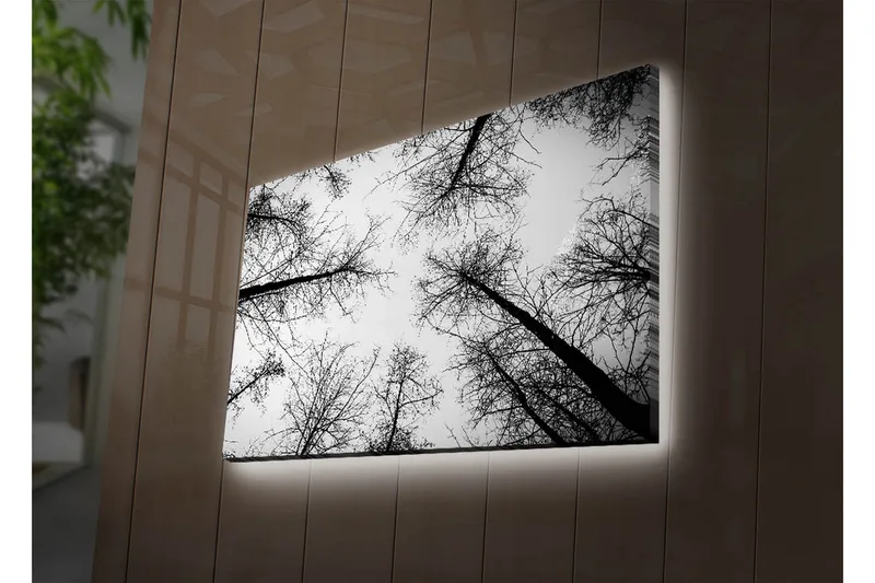 Canvas-taulu LED-valaistuksella 45x70 cm - Puiden siluetit vaalealla taustalla, Musta / Valkoinen