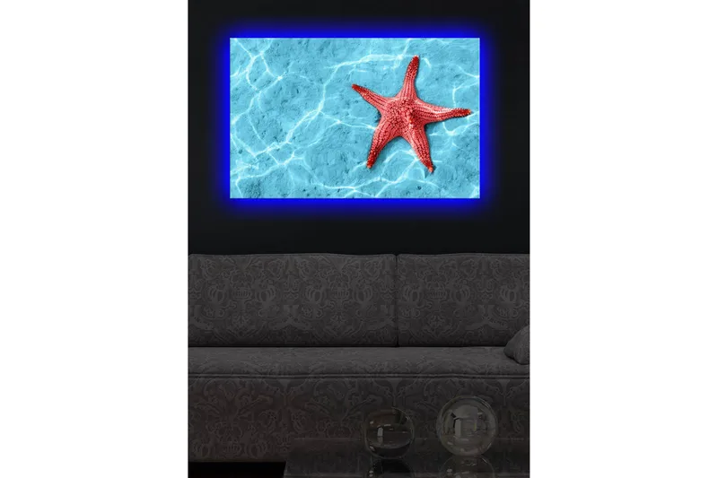 Canvas-taulu LED-valaistuksella 45x70 cm - Punainen meritähti kirkkaansinisellä veden pinnalla - Punainen / Kirkkaansininen - Sisustustuotteet - Taulu & taide - Canvas-taulu