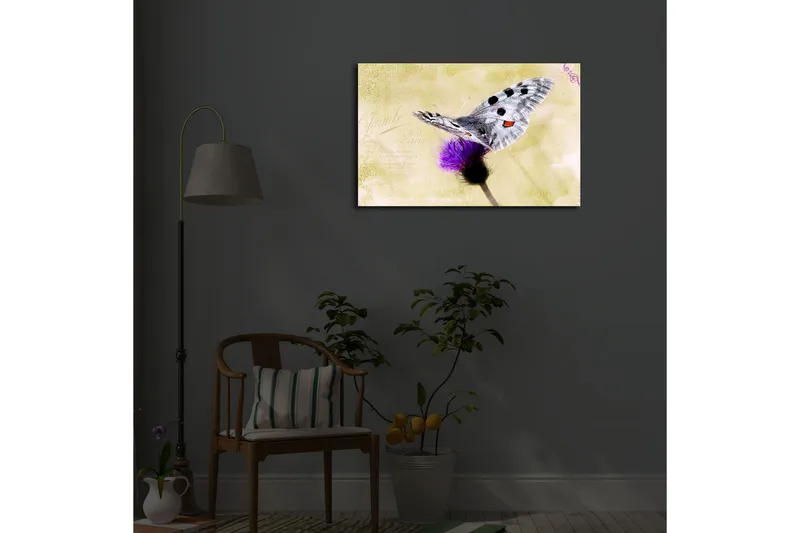Canvas-taulu LED-valaistuksella 45x70 cm - Perhonen istuu kukalla - Violetti / Harmaa / Keltainen - Sisustustuotteet - Taulu & taide - Canvas-taulu