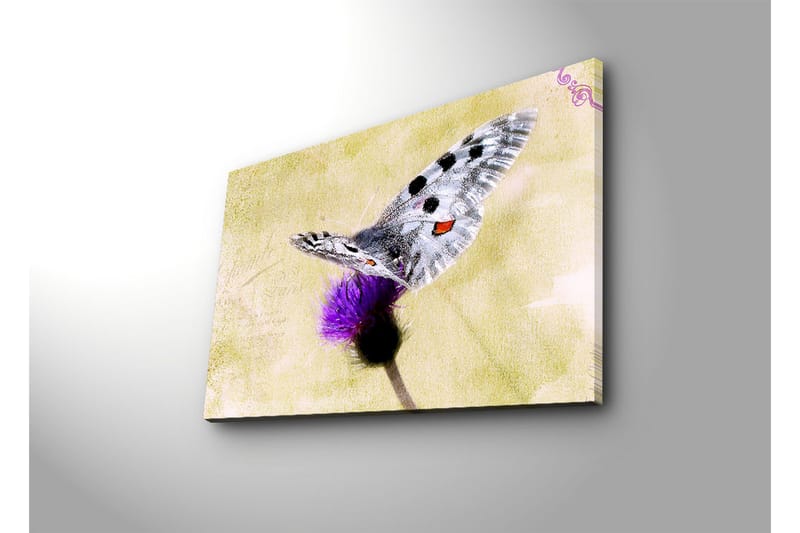 Canvas-taulu LED-valaistuksella 45x70 cm - Perhonen istuu kukalla - Violetti / Harmaa / Keltainen - Sisustustuotteet - Taulu & taide - Canvas-taulu