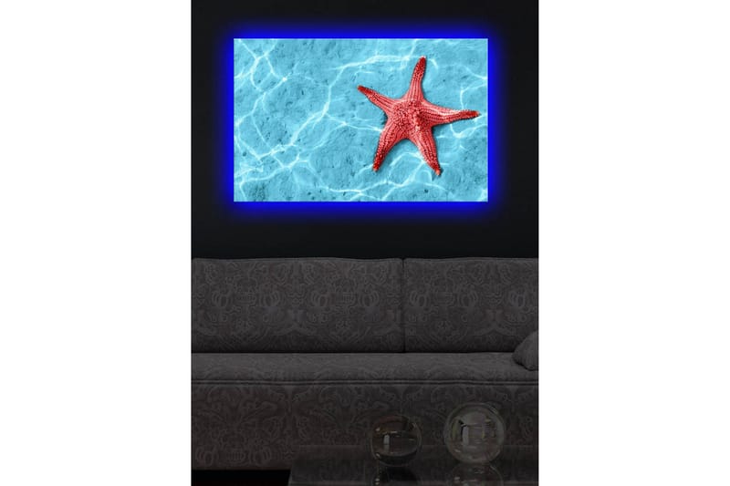 Canvas-taulu LED-valaistuksella 45x70 cm - Punainen meritähti kirkkaansinisellä veden pinnalla - Punainen / Kirkkaansininen - Sisustustuotteet - Taulu & taide - Canvas-taulu