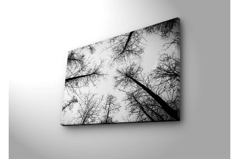 Canvas-taulu LED-valaistuksella 45x70 cm - Puiden siluetit vaalealla taustalla - Musta / Valkoinen - Sisustustuotteet - Taulu & taide - Canvas-taulu