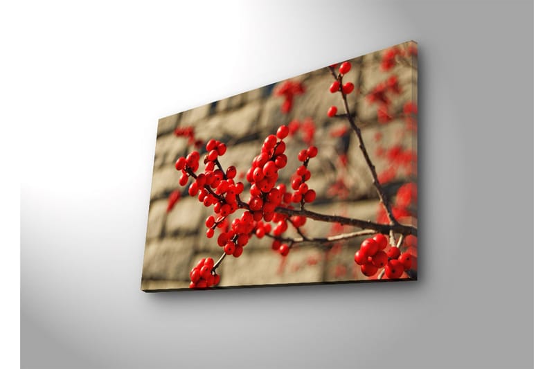 Canvas-taulu LED-valaistuksella 45x70 cm - Punainen marjaterttu oksalla - Punainen / Ruskea / Beige - Sisustustuotteet - Taulu & taide - Canvas-taulu