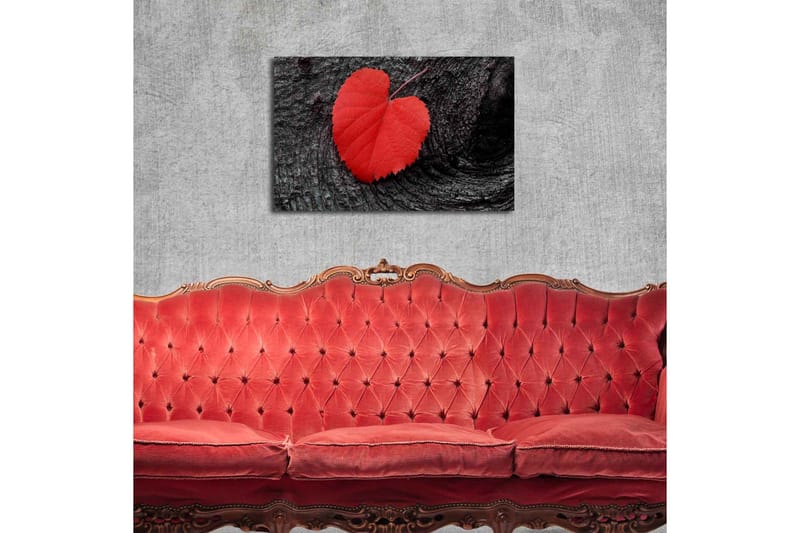 Canvas-taulu LED-valaistuksella 50x70 cm - Punaiset sydämenmuotoiset lehdet tummalla puupinnalla - Punainen / Musta - Sisustustuotteet - Taulu & taide - Canvas-taulu