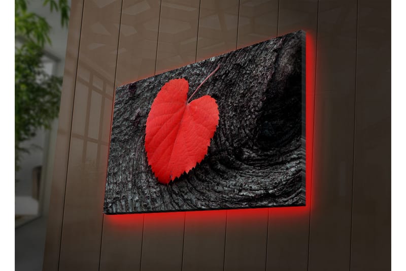 Canvas-taulu LED-valaistuksella 50x70 cm - Punaiset sydämenmuotoiset lehdet tummalla puupinnalla - Punainen / Musta - Sisustustuotteet - Taulu & taide - Canvas-taulu