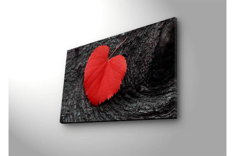 Canvas-taulu LED-valaistuksella 50x70 cm - Punaiset sydämenmuotoiset lehdet tummalla puupinnalla - Punainen / Musta - Sisustustuotteet - Taulu & taide - Canvas-taulu