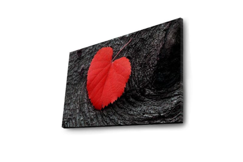 Canvas-taulu LED-valaistuksella 50x70 cm - Punaiset sydämenmuotoiset lehdet tummalla puupinnalla - Punainen / Musta - Sisustustuotteet - Taulu & taide - Canvas-taulu