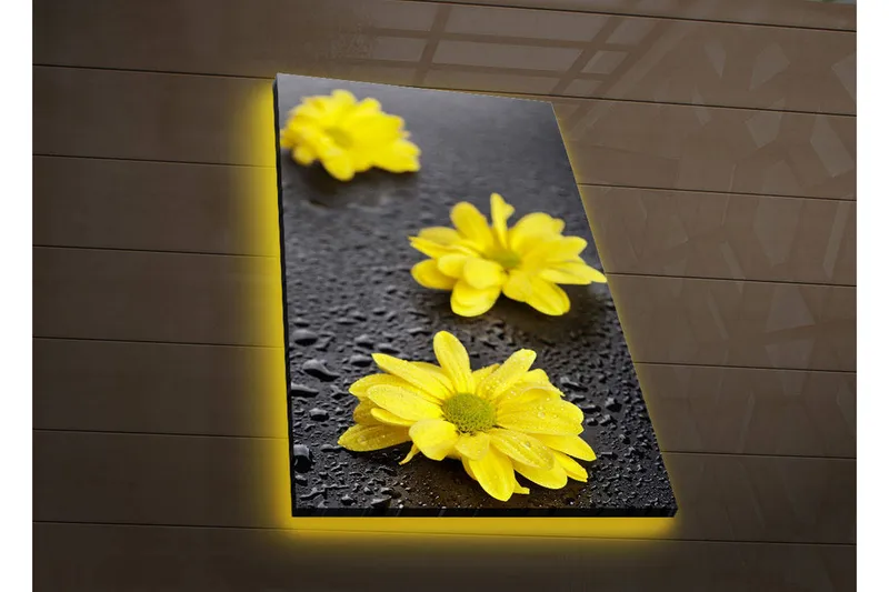 Canvas-taulu LED-valaistuksella 70x45 cm - Keltaisia kukkia ja vesipisaroita tummalla pinnalla, Keltainen / Musta