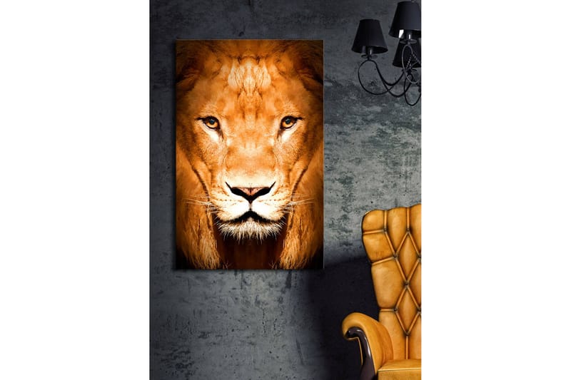 Canvas-taulu LED-valaistuksella 70x45 cm - Majesteettinen leijonanpää intensiivisillä silmillä - Kulta / Ruskea / Musta - Sisustustuotteet - Taulu & taide - Canvas-taulu