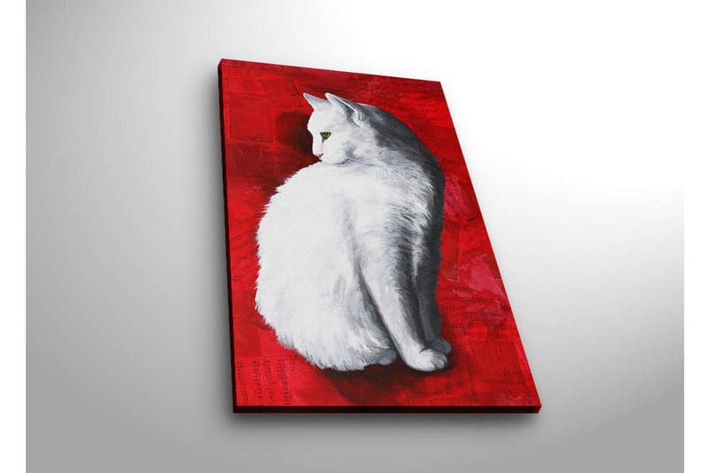 Canvas-taulu LED-valaistuksella 70x45 cm - Valkoinen kissa punaisella taustalla - Valkoinen / Punainen - Sisustustuotteet - Taulu & taide - Canvas-taulu